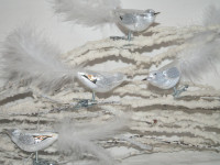 Winterzauber - Glasvogel mit Federn 4fach Winterzauber - Glasvogel mit Federn 4fach