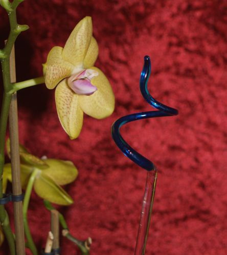 Orchideenstab gedreht blau Blumenstab