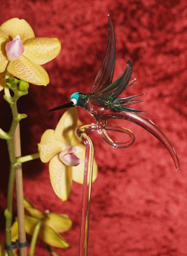 Orchideenstab mit Kolibri grün Blumenstab