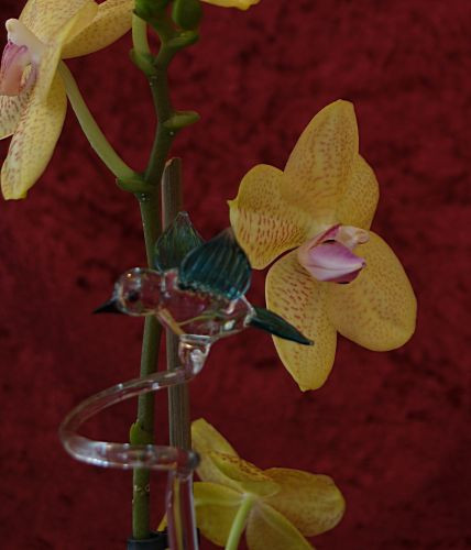Orchideenstab mit Vogel türkis und kristall Blumenstab