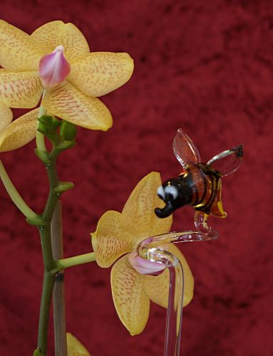Orchideenstab mit Schmetterling Blumenstab