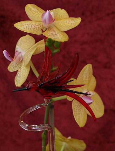 Orchideenstab mit Kolibri Blumenstab