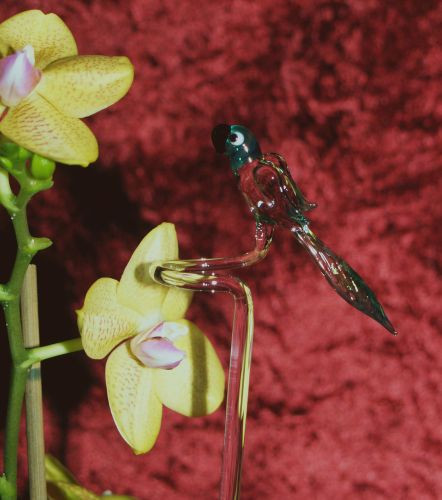 Orchideenstab mit Papagei grün Blumenstab