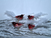 Glasvogel rot mit Federn Glasvogel rot mit Federn