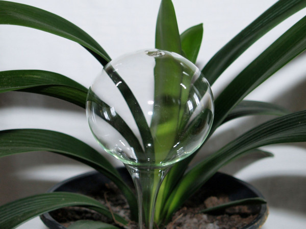 Blumenkugel kristall Durstkugel mit Ø 8 cm