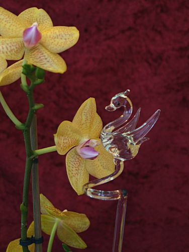 Orchideenstab mit Schwan Blumenstab